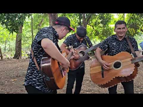 EN AHUACHAPAN LOS MUSICOS ASI SE ECHARON ESTAS ROLAS🎶🎶