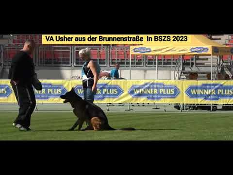 VA1 Usher Aus Der Brunnenstrale In BSZS 2023