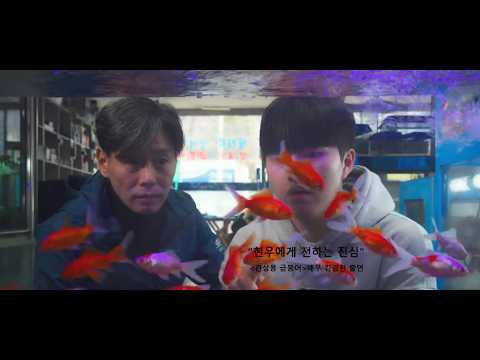 비디오 23