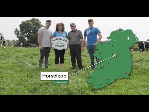 IHFA Whole Herd Grade Up Service - What's involved?