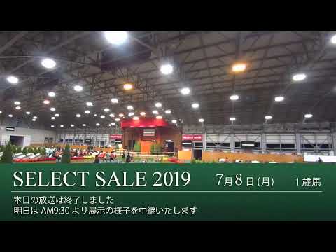 【見逃し配信中】セレクトセール2019　1日目(1歳馬セッション) | 競馬コラム - netkeiba