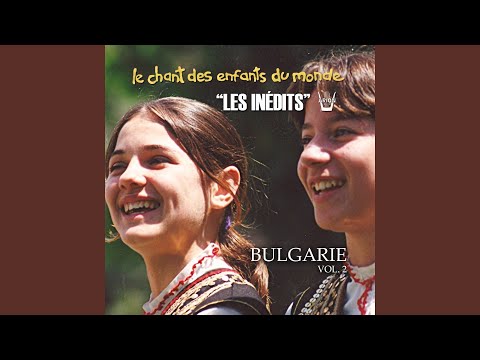 Bare droma (Communauté rom)