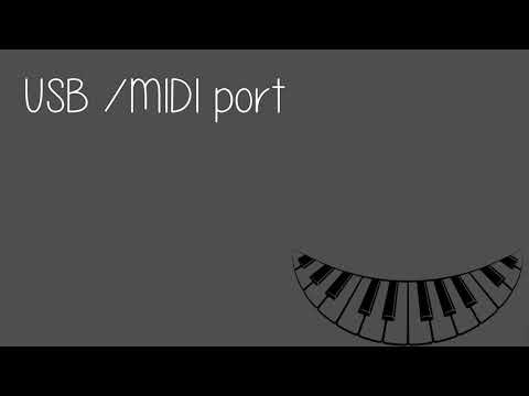 Which Yamaha Digital Piano Is Better The P115 Or Ydp 143?