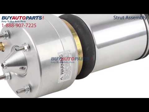 Strut Assembly from BuyAutoParts.com - Part# 75-20387