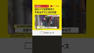北見…苫小牧…　きょうもクマの目撃相次ぐ　今年の目撃情報などはすでに３００件超