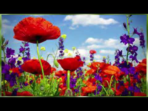 Իմ մահով ոչինչ չի փոխվի կյանքում... Համո Սահյան