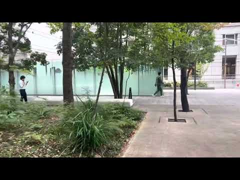 Smoking not allowed in public in Tokyo center