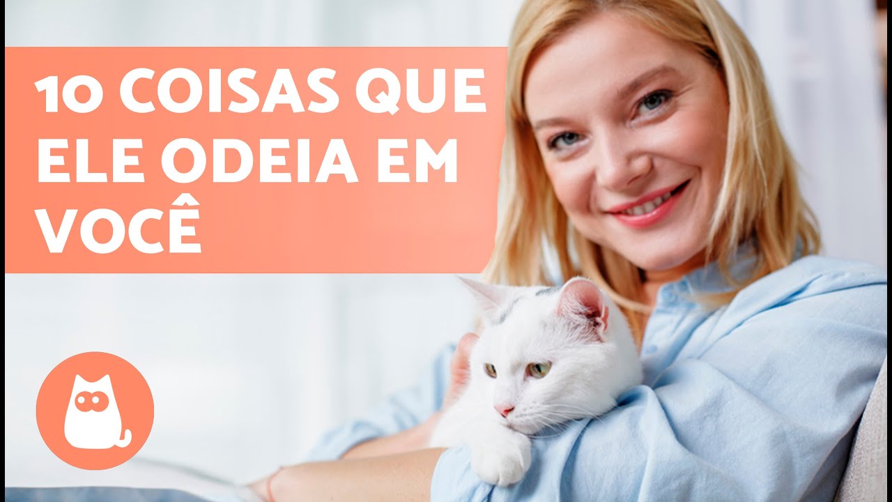 10 COISAS QUE OS GATOS ODEIAM em seus TUTORES😾 Evite-as!