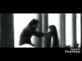Touching Heart Status Haseena Parker Movie Song