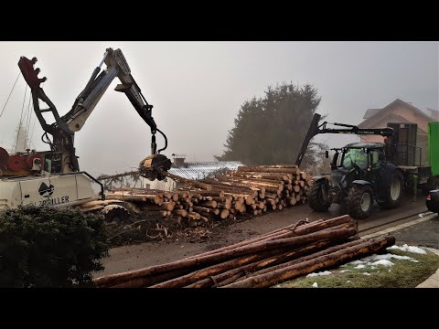 Fichten Notschlachtung 1.0 Perfekte Baustelle für die 400C