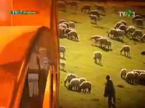 Nineta Popa - Sunt fata din Boisoara (LIVE o strofă) sept2018