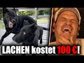 Diese Pokerface War Richtig Teuer