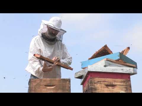 Boja meda ep. 105 10.03.2020. NAJAVA