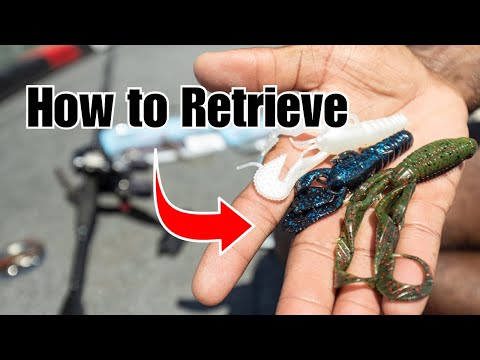 How to Fish A Carolina Rig - Top 3 Lures + Retrieves