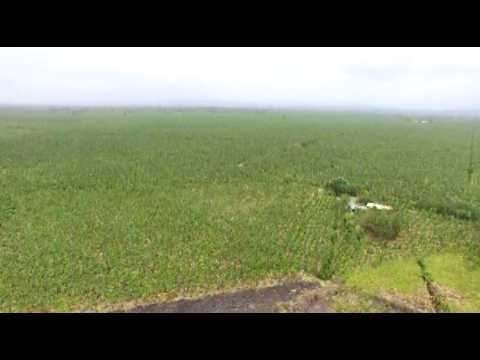 Alertan rezago en restitución de tierras en Antioquia pese a entrega de 40.000 hectáreas