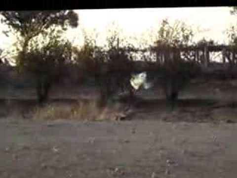 استهداف مطار كويرس العسكري في محافظة إدلب بصاروخ نور الدين 1 من قبل لواء نور الدين الشهيد