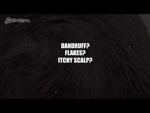 Get Rid of Chronic Dandruff With Svenson's Scalp Corrective Treatment