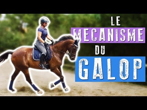 download lagu mp3 mp4 Mécanisme Du Galop, download lagu Mécanisme Du Galop gratis, unduh video klip Mécanisme Du Galop