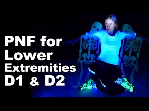 Top 5 Pelvic Floor Exercises