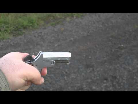 Derringer REX by Dressler cal .22 Flobert Shoot.AVI