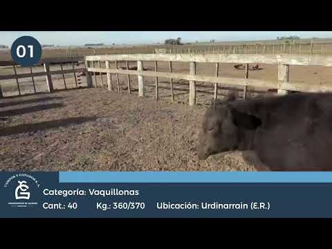Lote VQ Feed Lot Consumo - Urdinarrain E Rios