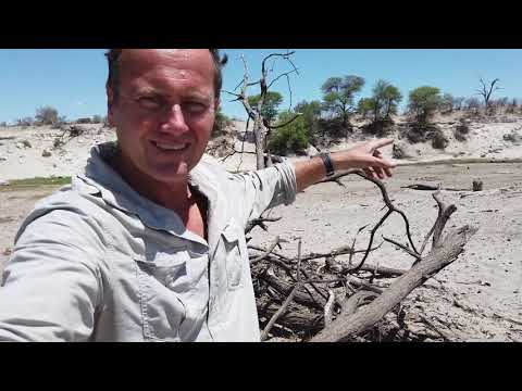 Rubber B in Africa with Dave Southwood - The Ultimate Rubber Strap.