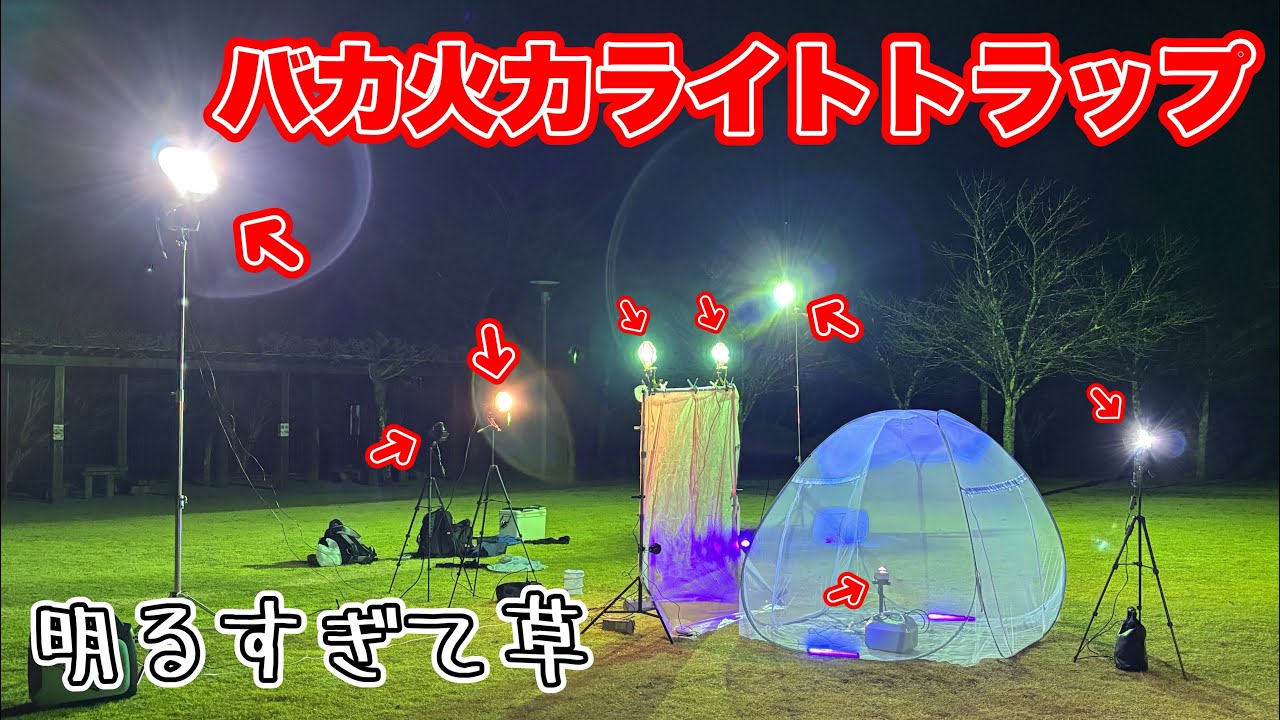 ライトトラップしたら街灯になってて草wwwwwwwwwwww