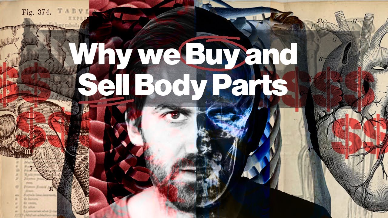 America’s (Totally Legal) Body Trade, Explained