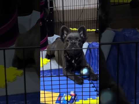 A day in the life of Munna