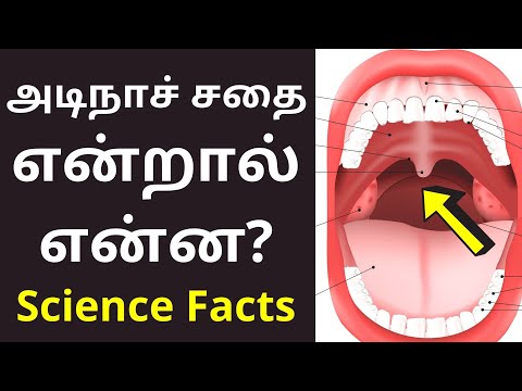 அடிநாச்சதை or உள் நாக்கு என்றால் என்ன? | Tonsils Meaning in tamil | Science Facts 2021