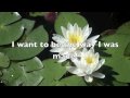 The Way I was Made (with lyrics) by Chris Tomlin