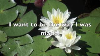 The Way I was Made (with lyrics) by Chris Tomlin