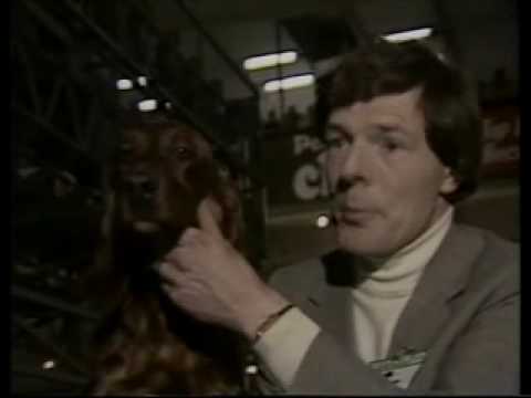 Central Advert Break - 22nd February 1985 (2)