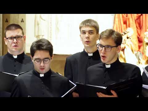 Komorni zbor bogoslova CBS -  Zlatnih krila (Koncert "Ususret Božiću" 2019. LIVE)