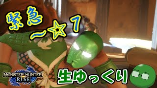 【モンハンライズ】☆６緊急から始まるのんびり生狩り【生ゆっくり】