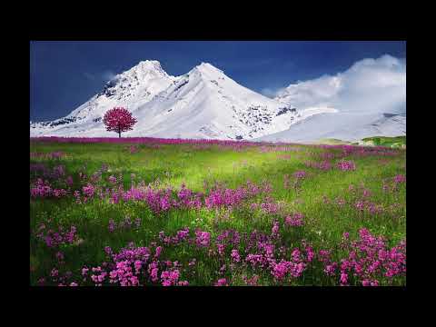 Nature | No-Copyright Background Music | Cinematic Piano (FREE DOWNLOAD)  -MaxKoMusic