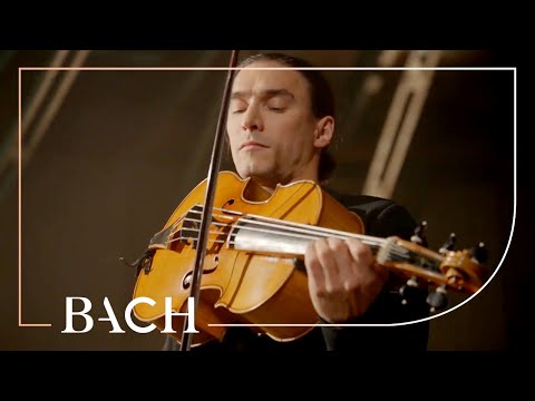 Bach - Cello Suite no. 6 in D major BWV 1012 - Malov | Netherlands Bach Society Video