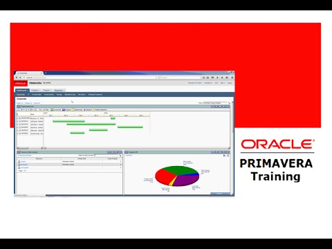 Primavera P6 Using Copy Activity Options Part 20