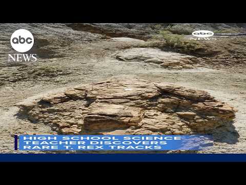 High school science teacher discovers rare T. Rex tracks