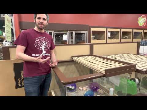 Choosing a Pet Hamster at Petland!