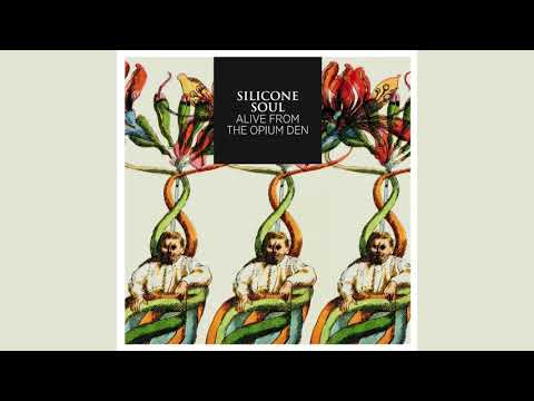 Silicone Soul - Time Mariner's Mirrour (Kiki's Darkroom Dub)