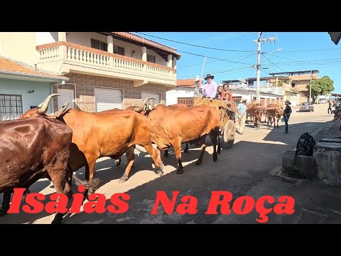 Festa do Carro de Boi,em Macuco de Minas, Distrito de Itumirim, mg. 