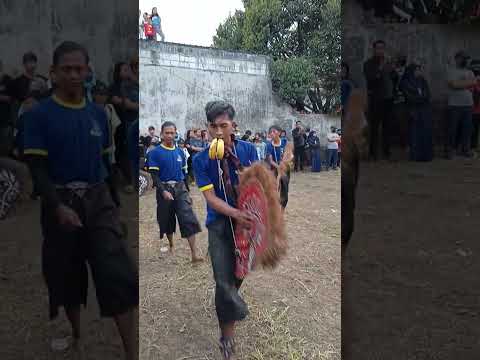 #wgd #welanggarudhodjati #jaranan #malang #ayasdomi