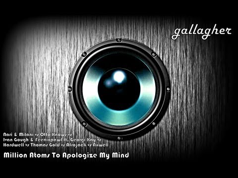 Nari Milani Otto Knows Hardwell Thomas Gold Afrojack Axwell - Million Atoms To Apologize My Mind