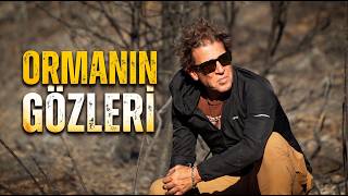 Yangınlarla Savaşın Teknolojiyle Buluştuğu Yer: Ormanların Gizli Kahramanları!