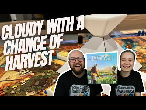 What's the weather like today? - Tameri 2 Player Playthrough