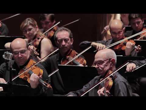 FIMCPC 2013 Kingdom of plants Elik Alvarez Joel Douek Freddy Sheinfeld