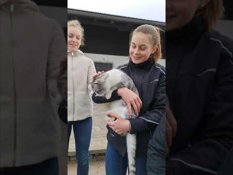 Betriebsbesuche Deutschlandsberg – Schwerpunkt Corona Notfallsprogramme für Landwirte!