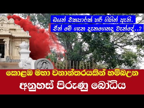බෙල්ලන්විල විහාරය Bellanvila Temple ලස්සන දෙරණ Lassana Derana