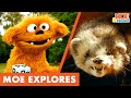Moe Explores Park Ranger Environmentalism For Kids